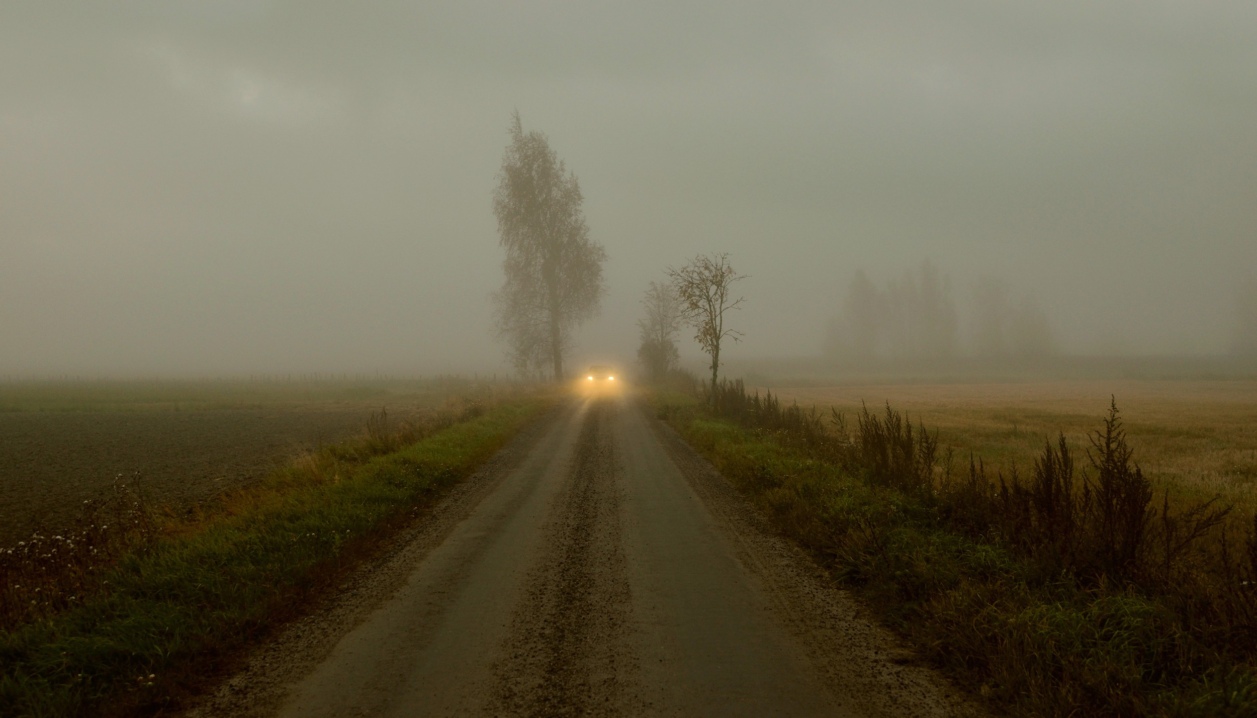 Утреннее марево. Село марево новгородская область. Марево. Село марево новгородская область. Марево это простыми.